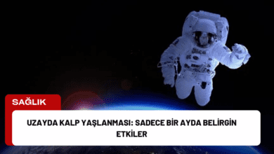 uzayda kalp yaşlanması: sadece bir ayda belirgin etkiler