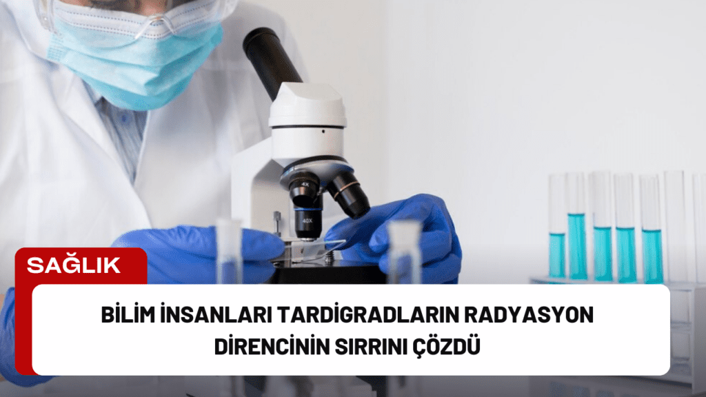 Bilim İnsanları Tardigradların Radyasyon Direncinin Sırrını Çözdü