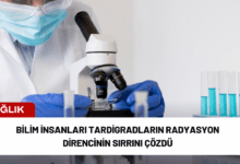 bilim i̇nsanları tardigradların radyasyon direncinin sırrını çözdü