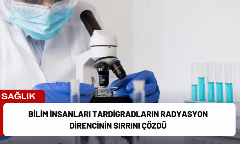 bilim i̇nsanları tardigradların radyasyon direncinin sırrını çözdü