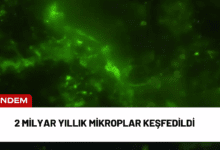 2 milyar yıllık mikroplar keşfedildi