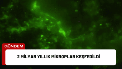 2 milyar yıllık mikroplar keşfedildi