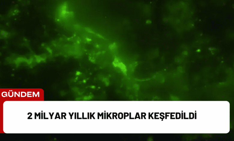 2 milyar yıllık mikroplar keşfedildi