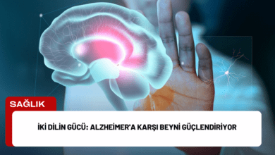 i̇ki dilin gücü: alzheimer'a karşı beyni güçlendiriyor