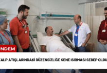 kalp atışlarındaki düzensizliğe kene isırması sebep oldu