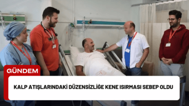 kalp atışlarındaki düzensizliğe kene isırması sebep oldu