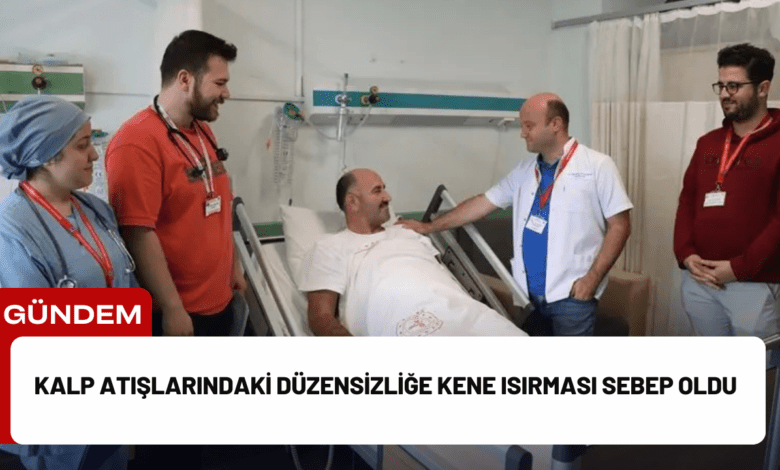 kalp atışlarındaki düzensizliğe kene isırması sebep oldu