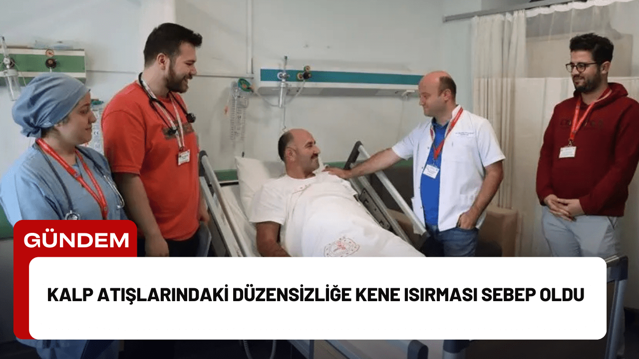 Kalp Atışlarındaki Düzensizliğe Kene Isırması Sebep Oldu