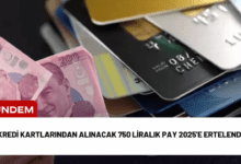 kredi kartlarından alınacak 750 liralık pay 2025'e ertelendi