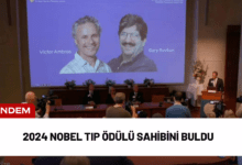 2024 nobel tıp ödülü sahibini buldu