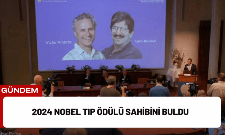 2024 nobel tıp ödülü sahibini buldu