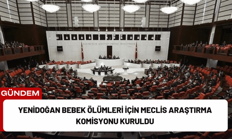 yenidoğan bebek ölümleri i̇çin meclis araştırma komisyonu kuruldu