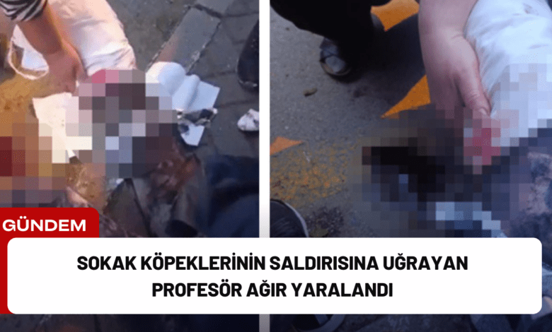 sokak köpeklerinin saldırısına uğrayan profesör ağır yaralandı