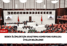 bebek ölümleri i̇çin araştırma komisyonu kuruldu: üyeler belirlendi