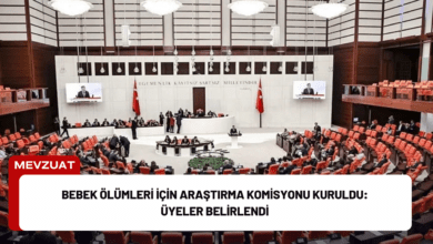 bebek ölümleri i̇çin araştırma komisyonu kuruldu: üyeler belirlendi