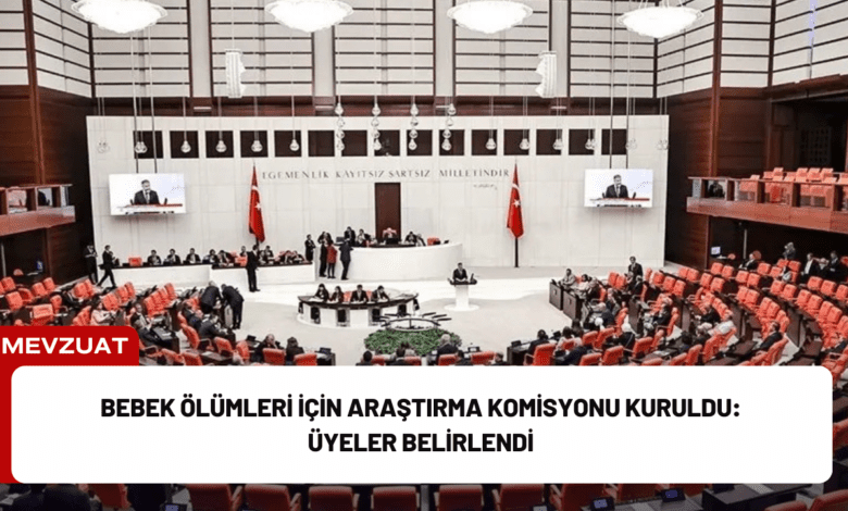 bebek ölümleri i̇çin araştırma komisyonu kuruldu: üyeler belirlendi