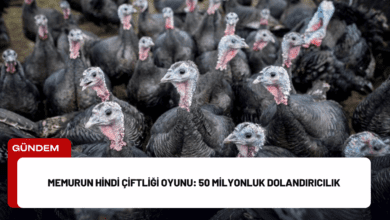 memurun hindi çiftliği oyunu: 50 milyonluk dolandırıcılık