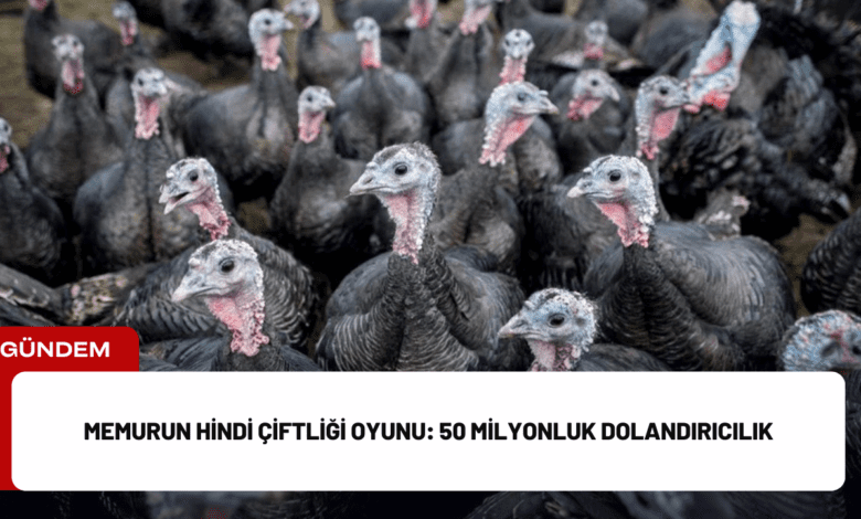 memurun hindi çiftliği oyunu: 50 milyonluk dolandırıcılık