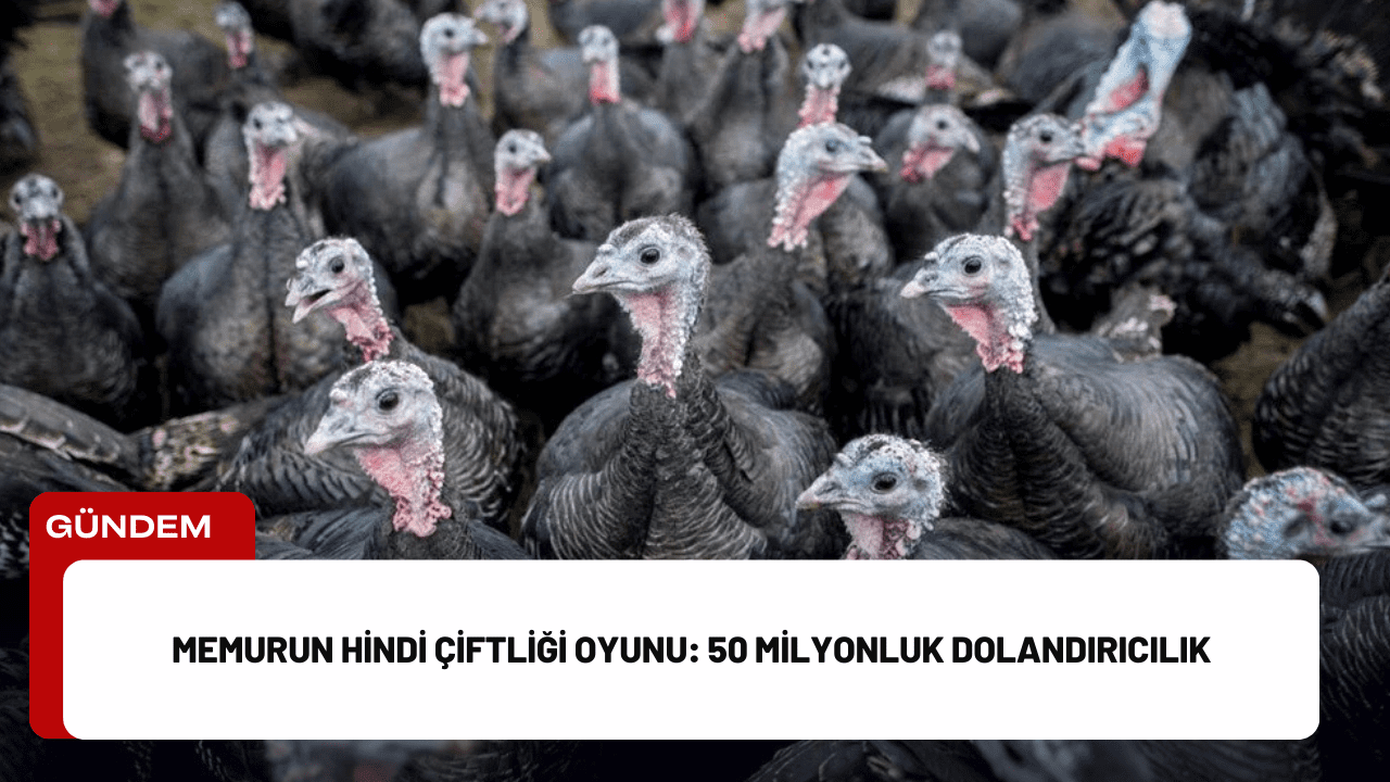 Memurun Hindi Çiftliği Oyunu: 50 Milyonluk Dolandırıcılık