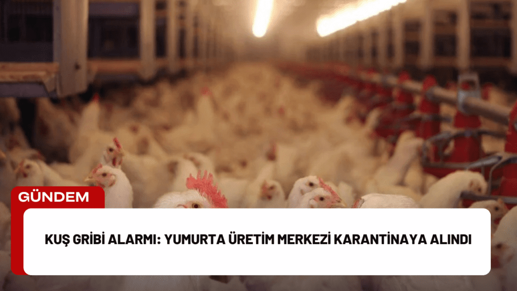 Kuş Gribi Alarmı: Yumurta Üretim Merkezi Karantinaya Alındı