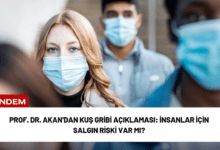 prof. dr. akan'dan kuş gribi açıklaması: i̇nsanlar i̇çin salgın riski var mı?