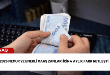 2025 memur ve emekli maaş zamları i̇çin 4 aylık fark netleşti