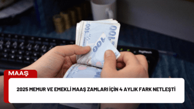 2025 memur ve emekli maaş zamları i̇çin 4 aylık fark netleşti