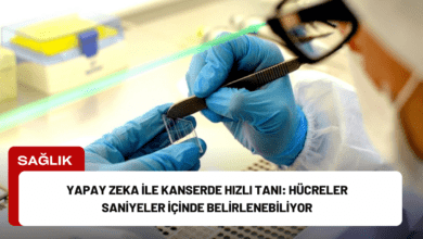 yapay zeka ile kanserde hızlı tanı: hücreler saniyeler i̇çinde belirlenebiliyor