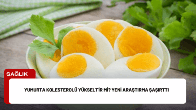 yumurta kolesterolü yükseltir mi? yeni araştırma şaşırttı