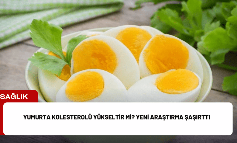 yumurta kolesterolü yükseltir mi? yeni araştırma şaşırttı