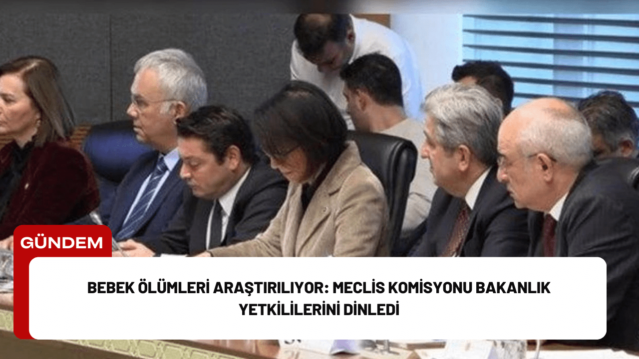 Bebek Ölümleri Araştırılıyor: Meclis Komisyonu Bakanlık Yetkililerini Dinledi