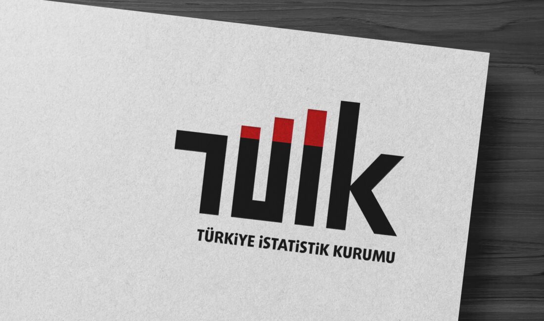 Türkiye İstatistik Kurumu (TÜİK)