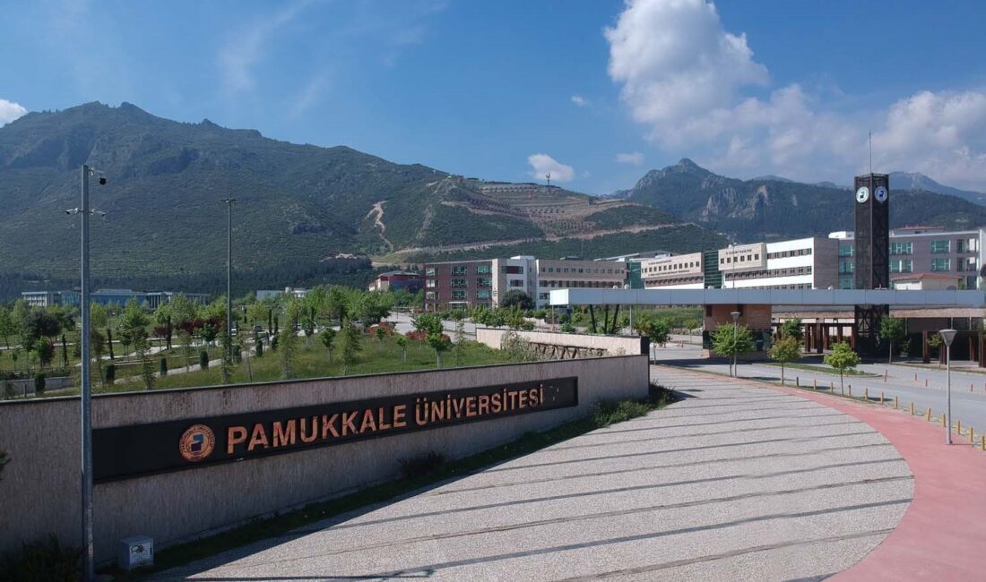 Pamukkale Üniversitesi, 36 sözleşmeli