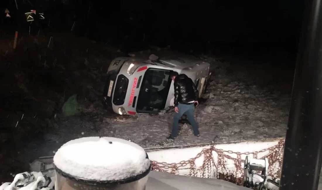 Tokat’ta taburcu edilen hastayı bıraktıktan sonra dönüş yolunda kontrolden çıkan
