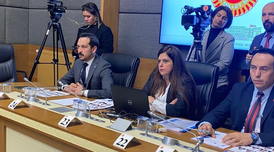 Sosyal Güvenlik Müfettişleri Derneği Başkanı Ayşe Özer Ulu, sağlık alanındaki