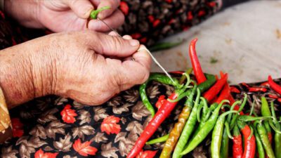 Son araştırmalar, kapsaisin olarak bilinen acı biber bileşiğinin metabolizmayı geçici