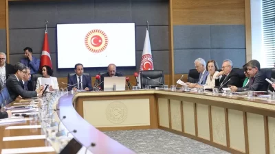 Türkiye Büyük Millet Meclisi (TBMM) Sağlık, Aile, Çalışma ve Sosyal