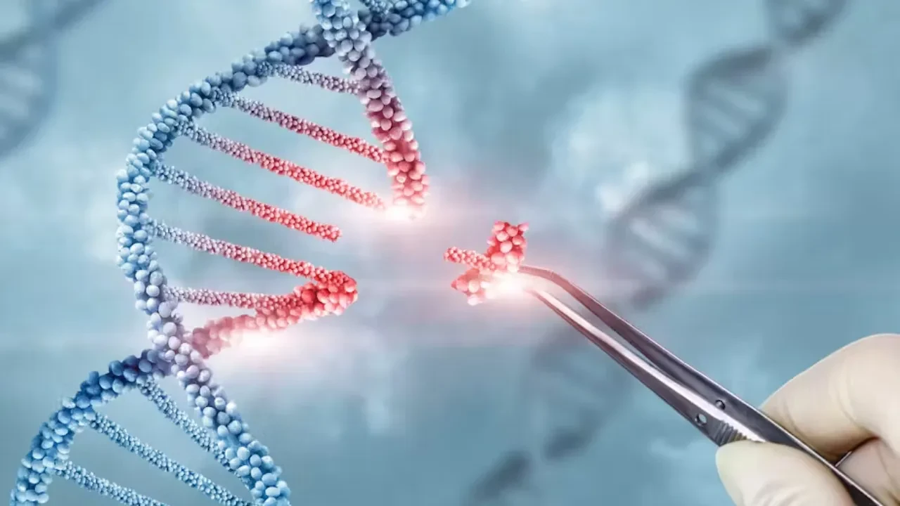 Binlerce Yıllık DNA, Hastalıkların Kökenine Işık Tuttu: Suçlu Evcilleştirme mi? Binlerce Yıllık DNA, Hastalıkların Kökenine Işık Tuttu: Suçlu Evcilleştirme mi?