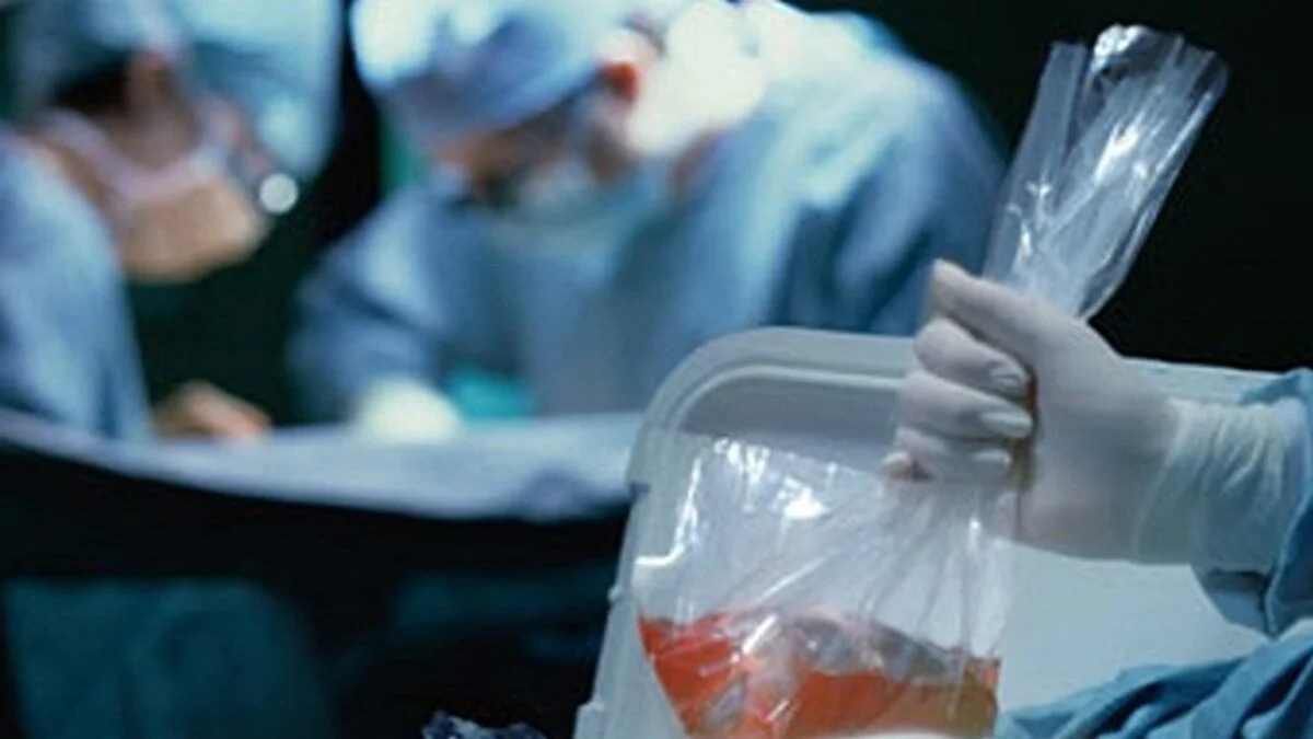 Sağlıkta Yeni Dönem Başladı: Organ Bağışından Tıbbi Kenevire, İlaç Takibinden İstihdama Kadar Çok Sayıda Değişiklik Yasalaştı Sağlıkta Yeni Dönem Başladı: Organ Bağışından Tıbbi Kenevire, İlaç Takibinden İstihdama Kadar Çok Sayıda Değişiklik Yasalaştı