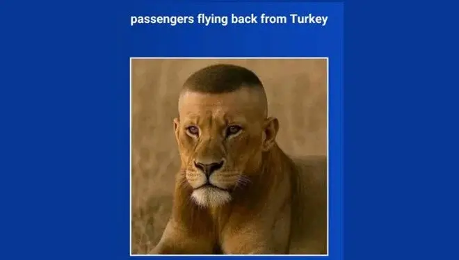 Uygun fiyat ve kaliteli hizmet avantajıyla saç ekimi alanında dünya