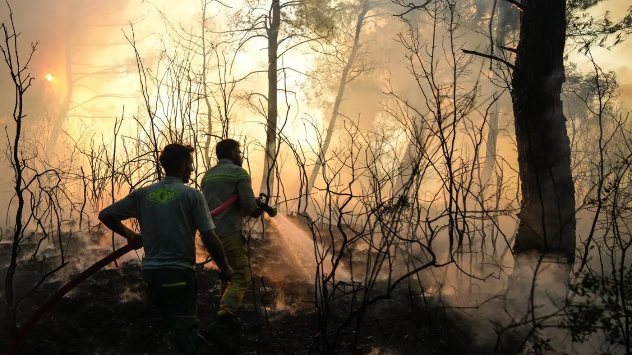 Sağlık Bakanı Memişoğlu'ndan Yangın Açıklaması Sağlık Bakanı Memişoğlu'ndan Yangın Açıklaması