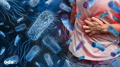 Yaz mevsiminde yükselen hava sıcaklıkları, mikroorganizmaların gıdalarda hızla çoğalmasına zemin