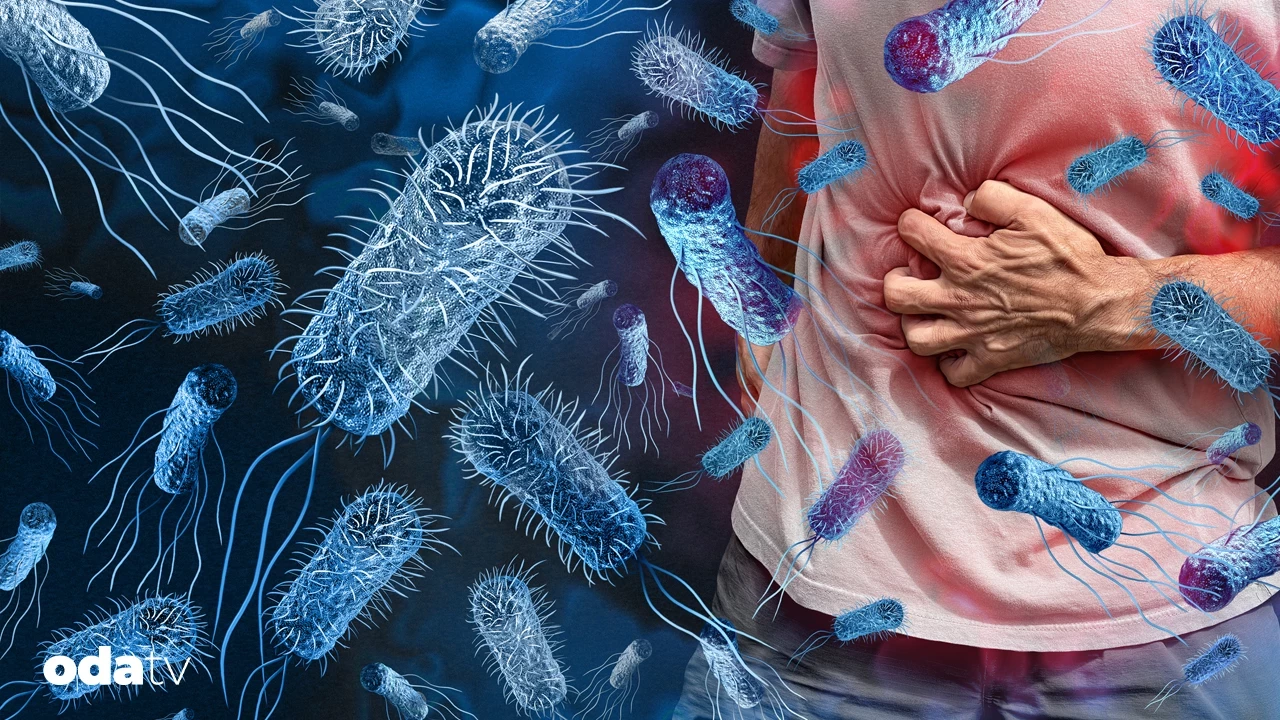 Sıcak Havalarda Gıda Enfeksiyonu Riski Artıyor: Uzmanlardan Uyarı Var Sıcak Havalarda Gıda Enfeksiyonu Riski Artıyor: Uzmanlardan Uyarı Var