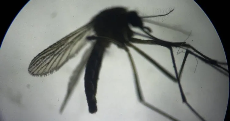 ABD’de halk sağlığını yakından ilgilendiren ender bir gelişme yaşandı. Açık