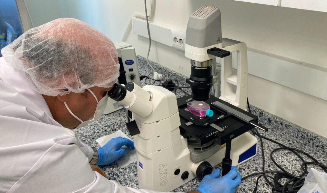 Bolu Abant İzzet Baysal Üniversitesi (BAİBÜ) Tıp Fakültesi’nde, beyin kanseri