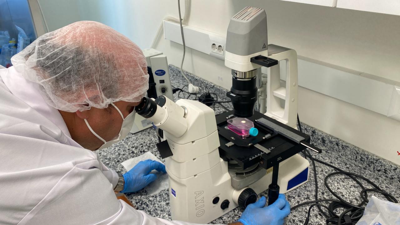 Beyin Kanseri Tedavisinde Yerli Nano Molekül Geliştirildi Beyin Kanseri Tedavisinde Yerli Nano Molekül Geliştirildi