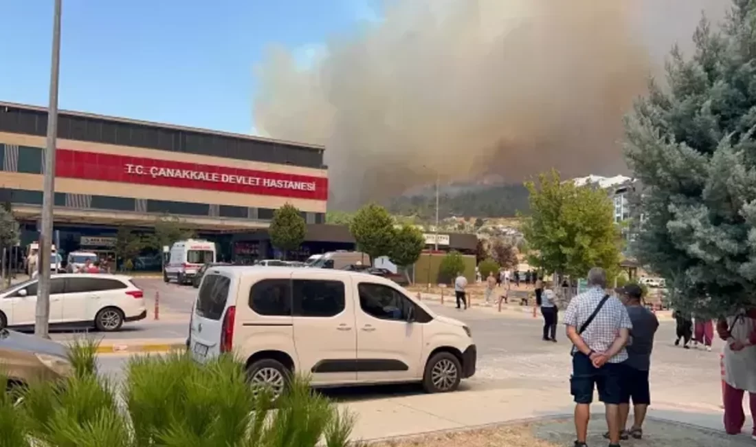 Çanakkale’nin Sarıcaeli köyünde tarım arazisinde başlayıp ormana sıçrayan yangın, rüzgarın