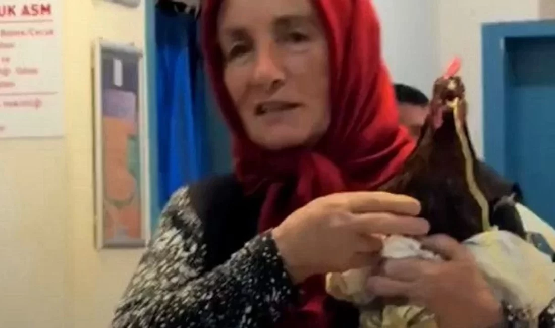Giresun’un Çamoluk ilçesinde yaşayan bir kadın, boğazına iğne kaçan tavuk