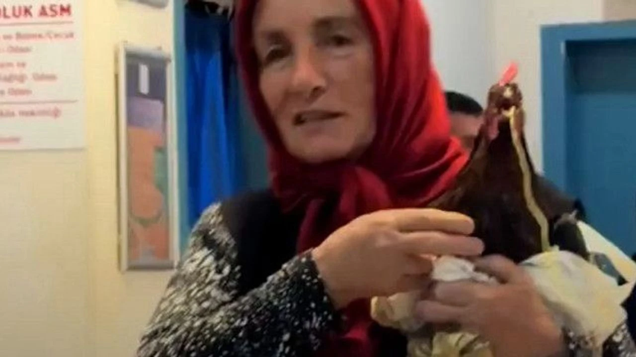 Boğazına İğne Kaçan Tavuk İçin Hastaneye Giden Kadının İlginç Talebi Boğazına İğne Kaçan Tavuk İçin Hastaneye Giden Kadının İlginç Talebi