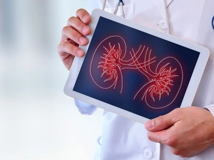 Tıp Dünyasında Çığır Açan Keşif: Böbrekleri Koruyacak MikroRNA Bulundu Tıp Dünyasında Çığır Açan Keşif: Böbrekleri Koruyacak MikroRNA Bulundu